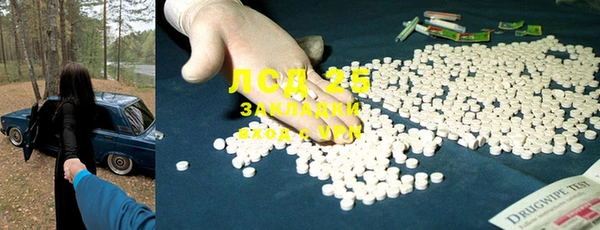 крисы Алексин