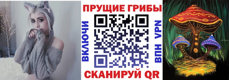 Псилоцибиновые грибы Cubensis Реж